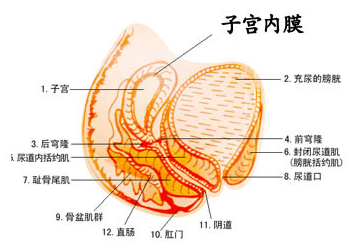 %4R(]7X16PU7}7~@`A3@HPY