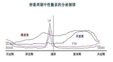 FSH值高的女性可不可以去美国做试管婴儿